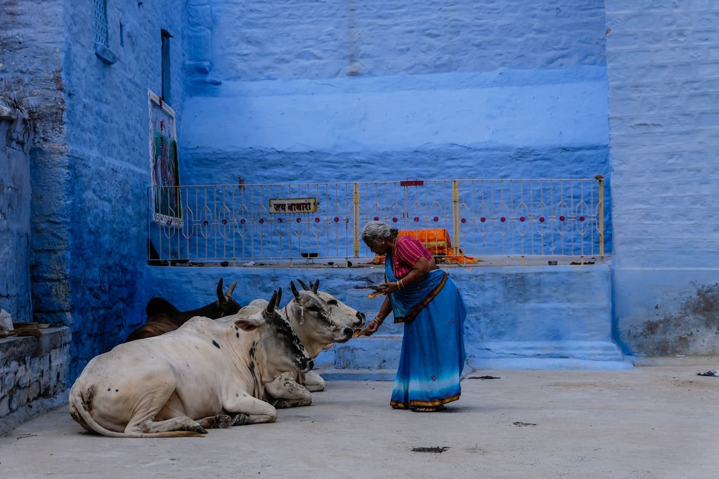 पञ्चधेनु दान